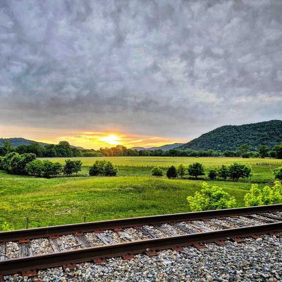 Meet your Posher, Kimberley - Picture 3 of 5